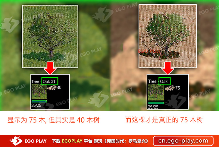 帝国时代游戏中的木材资源