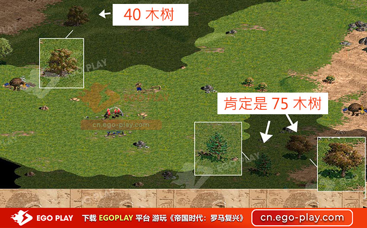 《帝国时代:罗马崛起》中的木材资源